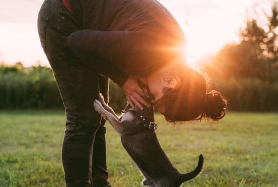 A veterinarian bends down to kiss a small dog in a grassy field as the sunset casts a warm glow. The peaceful atmosphere is enhanced by the silhouettes of trees and a blurred horizon in the background.