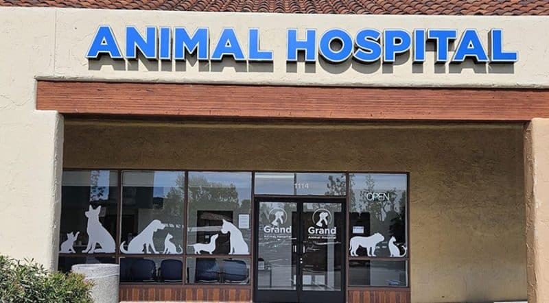 Day Creek Animal Hospital Rancho Cucamonga Veterinarians We Recommend | Emergency Veterinarian in Claremont