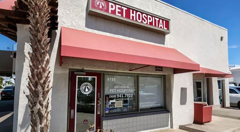 Day Creek Animal Hospital Rancho Cucamonga Veterinarians We Recommend | Emergency Veterinarian in Claremont