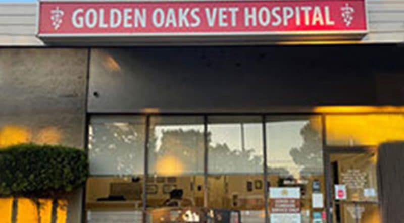 Day Creek Animal Hospital Rancho Cucamonga Veterinarians We Recommend | Emergency Veterinarian in Claremont