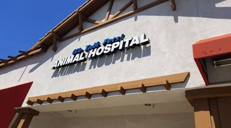 Day Creek Animal Hospital Rancho Cucamonga Veterinarians We Recommend | Emergency Veterinarian in Claremont