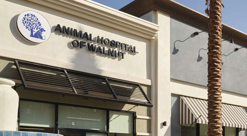 The exterior of Animal Hospital of Walnut, featuring a sign with a tree and animal logo, large windows, and a palm tree in front of a modern beige building under a clear sky.