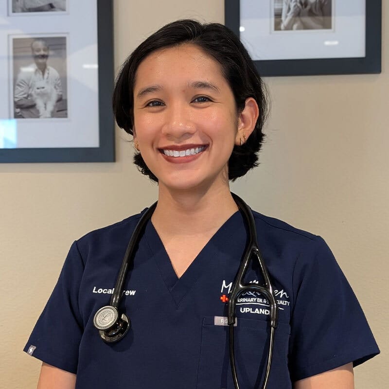 A woman wearing navy blue medical scrubs and a stethoscope smiles at the camera. She stands indoors in front of a beige wall with framed black-and-white photos hanging on it.