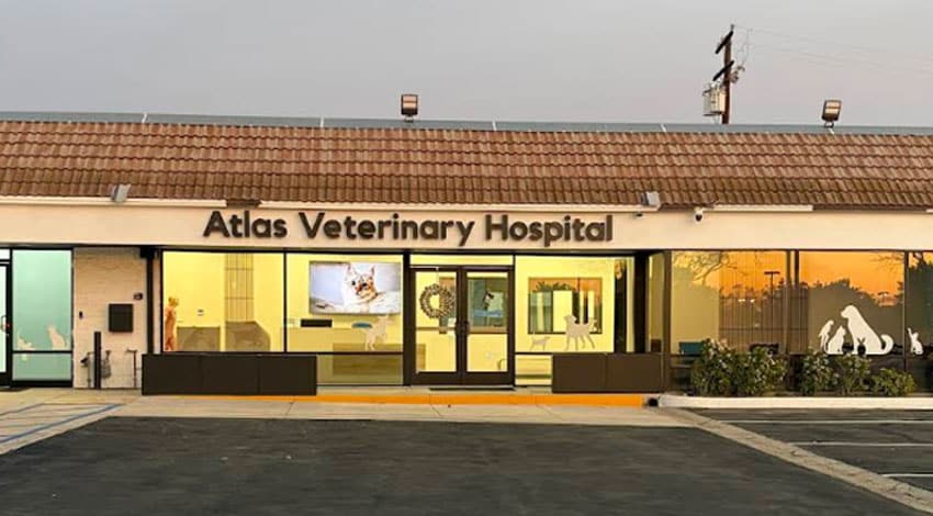 Exterior view of Atlas Veterinary Hospital, featuring large glass windows and doors with animal silhouettes, a tiled roof, and an illuminated sign above the entrance.