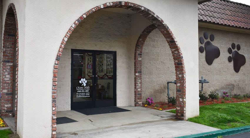 A building entrance with brick arches, a glass door displaying a white paw print logo, and two large paw print decorations on the exterior wall. There are small flower beds and grass alongside the walkway.