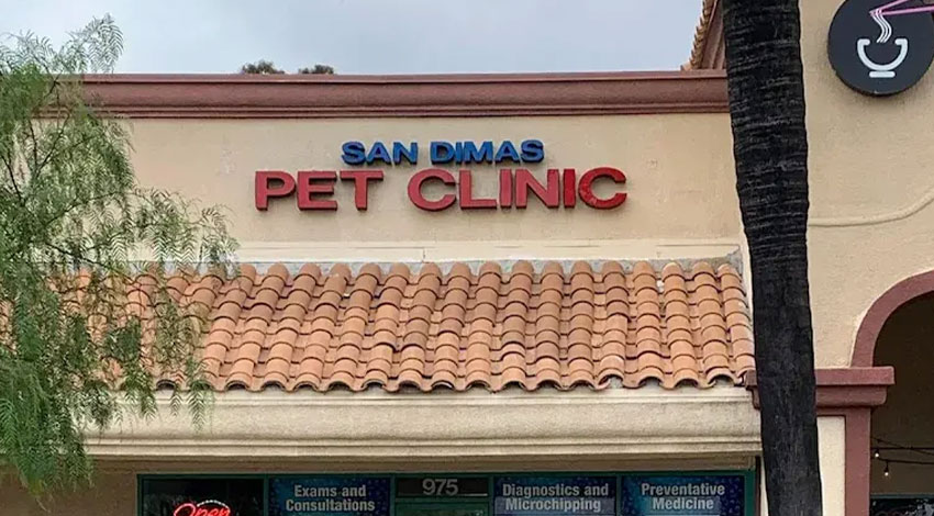 Storefront of San Dimas Pet Clinic with red and blue sign above a tiled roof, partial palm tree on the right, and smaller signs for services in the lower windows.